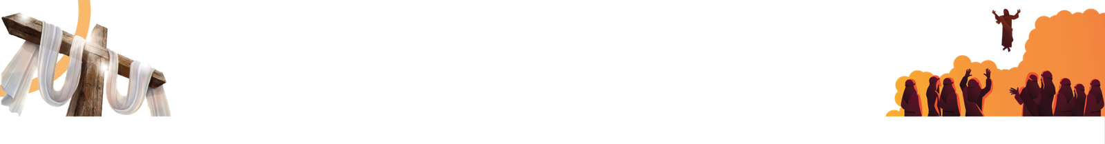 spot_img